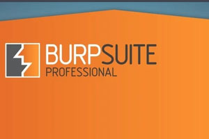 BurpSuiteProfessional网站漏洞辅助工具
