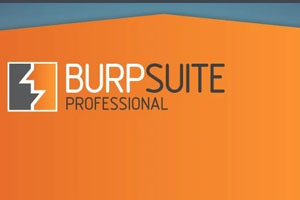 BurpSuiteProfessional网站漏洞辅助工具