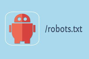seo robots.txt 文件有什么作用？